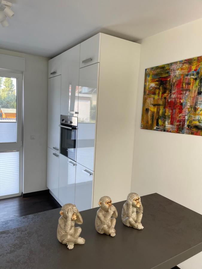 Gemuetliche Villa Am Waldrand In Taunusstein Εξωτερικό φωτογραφία