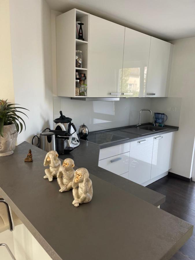 Gemuetliche Villa Am Waldrand In Taunusstein Εξωτερικό φωτογραφία